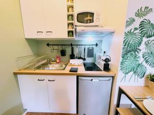 La Jungle de Simba ! Disneyland Paris