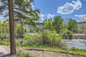 Silverthorne 4 BD Brand New Home