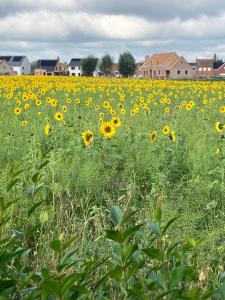 vakantiewoning Het Boomkwekerijhuis