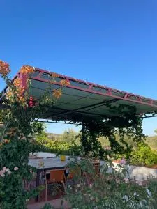 Casas da Serra d'Ossa - Casa do Pomar - Arcos