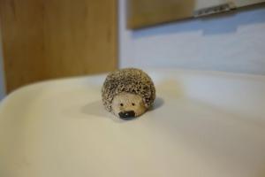 Gemütliche Unterkunft