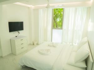 Beachfront Apartment