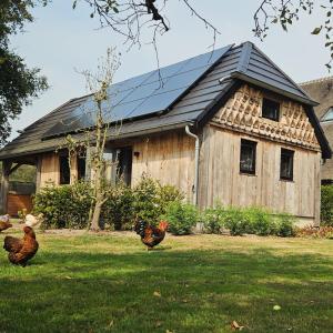 MOI -Magnifiek Overnachten In- Meppen