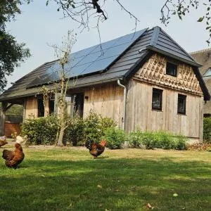 MOI Meppen - Balinge