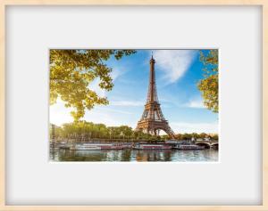 Appartements Jardin Briand : photos des chambres