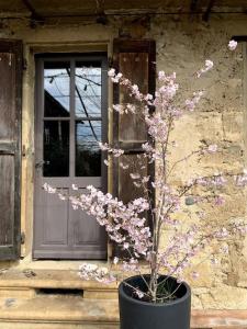 Maisons de vacances Notre maison de famille, la maison de shaoni : photos des chambres