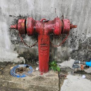 Thairin House Old town BKK