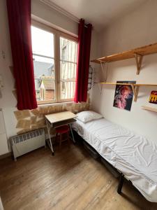 Petit nid ensoleillé