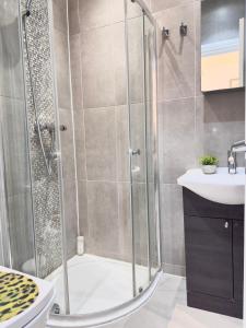 Studio flat Paddington Hyde park