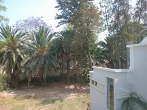 Paraiso Verde Samara
