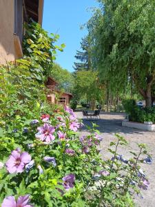 Maisons de vacances Au Moulin du Comte - en gite : photos des chambres
