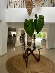 Hermosa villa en metro country club Juan dolio