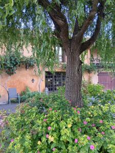 Le Moulin du Comte - chambres privées en gîte