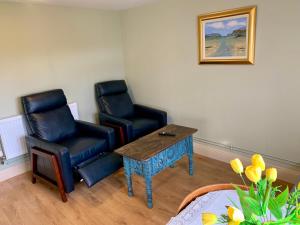 Carrigadaggen Lodge 2 king bed Apartment - Spacious & Comfy!