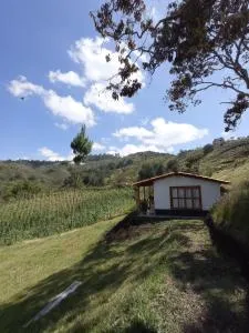 Ancestral Cabaña - Concepción