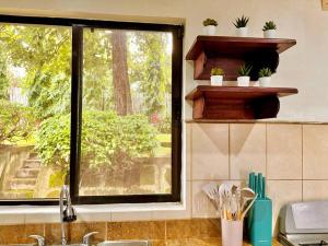 Spacious beautiful home near Everything!