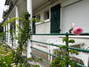 Appartements Charmant studio pres des Thermes avec jardin et wifi - FR-1-541-118 : photos des chambres