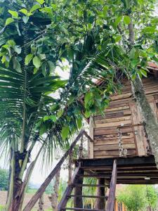 Khu Nghỉ dưỡng Sinh thái Nhà Lụa Retreat