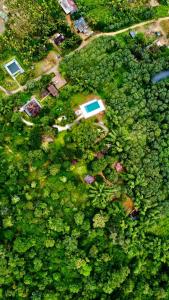 Misty Night Jungle Side Resort