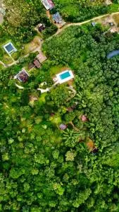 Misty Night Jungle Side Resort - Pulpally