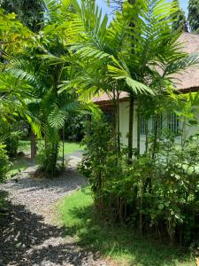 Poppies Cottages on Two