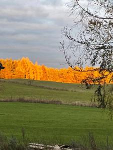 Mazury Klimatyczny dom blisko jeziora