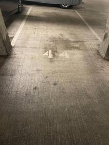 Affordable Belltown Condo Near Space Needle & Downtown