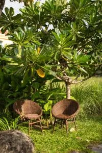 Serene Beach Hoian - An Bàn