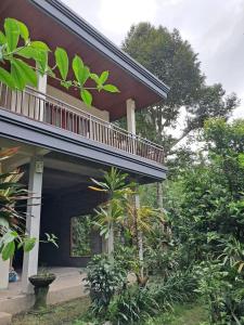 Jungle View House