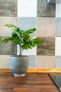 La Racha Residence - By Agada