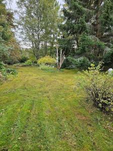 Mummonmökki Meri-Porista