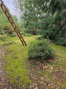 Mummonmökki Meri-Porista