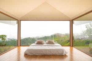 ยอดน้ำค้าง ม่อนเเจ่ม Yodnamkhang Monjam