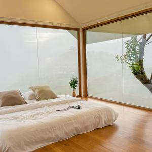 ยอดน้ำค้าง ม่อนเเจ่ม Yodnamkhang Monjam