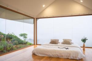 ยอดน้ำค้าง ม่อนเเจ่ม Yodnamkhang Monjam