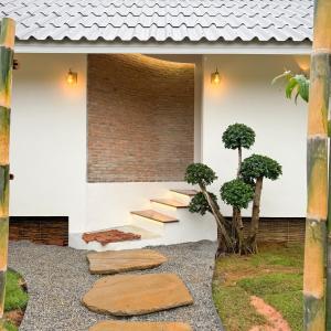 ยอดน้ำค้าง ม่อนเเจ่ม Yodnamkhang Monjam