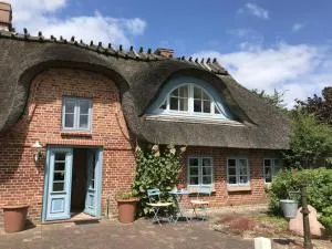 Reetkate in der Natur - Stenderup