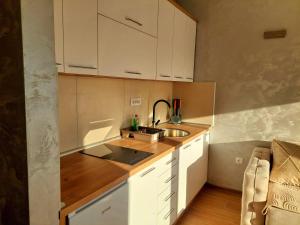 Apartman DIVČI TRON 10