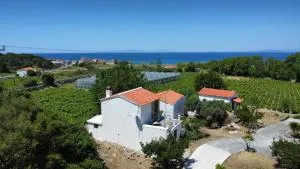 Thalia's Cottage - Valeontádes