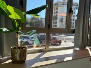 Danubio Estudios 107