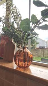 The Bungalow 5 Bedrooms