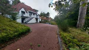 Appartements Les pins penches Love Hardelot plage : Appartement 1 Chambre