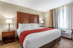 King Suite with Sofa Bed - Non-Smoking room in Comfort Inn & Suites