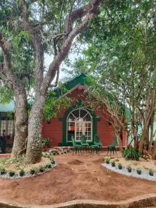 Nestinggrounds - Mudigere