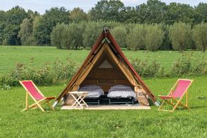 TT Circuit Assen 2026 Glamping incl stroom