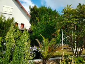 Maisons de vacances Au Nid Douillet : photos des chambres