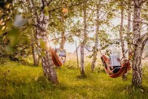 Sowie Klimaty - Sokolec