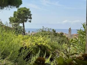 Villas Maison Les aloes - vue mer et proche centre ville : photos des chambres