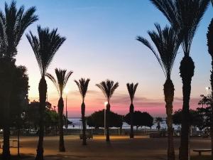 Diora Vila Park Apartment