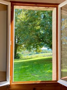 B&B / Chambres d'hotes Domaine Bourgade : photos des chambres